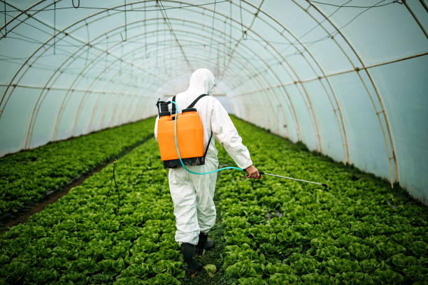 Best Residential Pest Control  in Churchill, OH