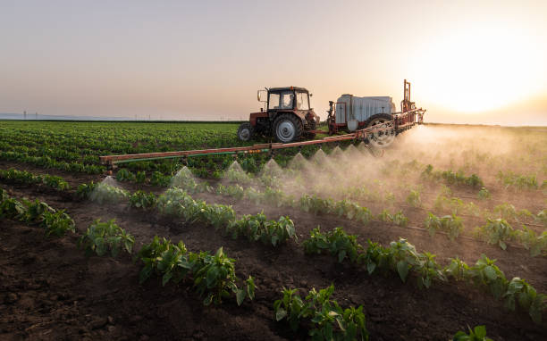 Best Commercial Pest Control Services  in Churchill, OH