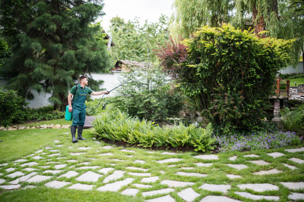 Professional Pest Control in Churchill, OH