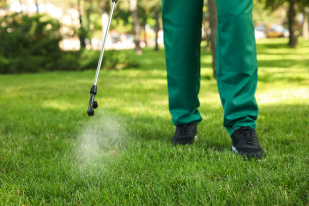 Pest Control for Restaurants in Churchill, OH