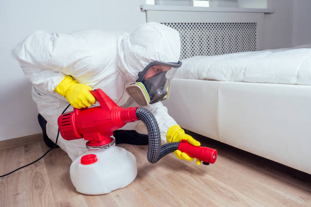 Best Cockroach Control Services  in Churchill, OH