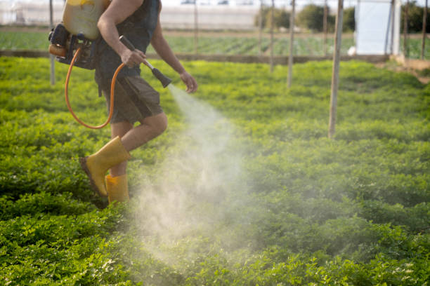 Best Pest Control Cost  in Churchill, OH
