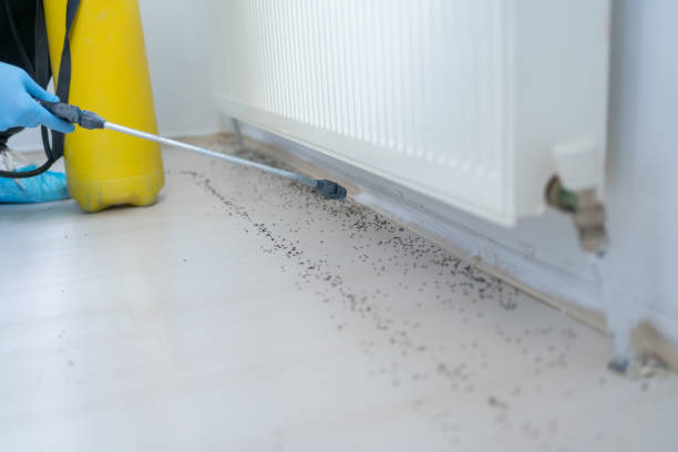 Best Pest Control for Restaurants  in Churchill, OH